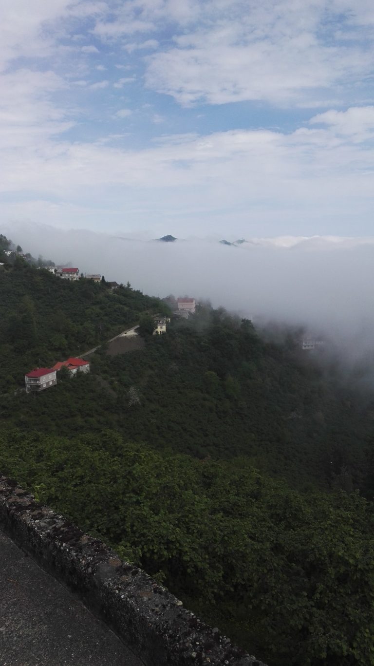 31957174_1791879987575882_6208306390927147008_n